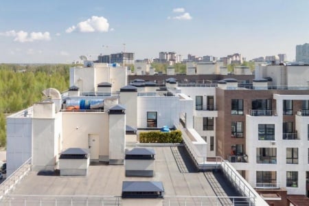 D&eacute;pigeonnisation &agrave; Paris, prot&eacute;gez efficacement vos &eacute;difices
